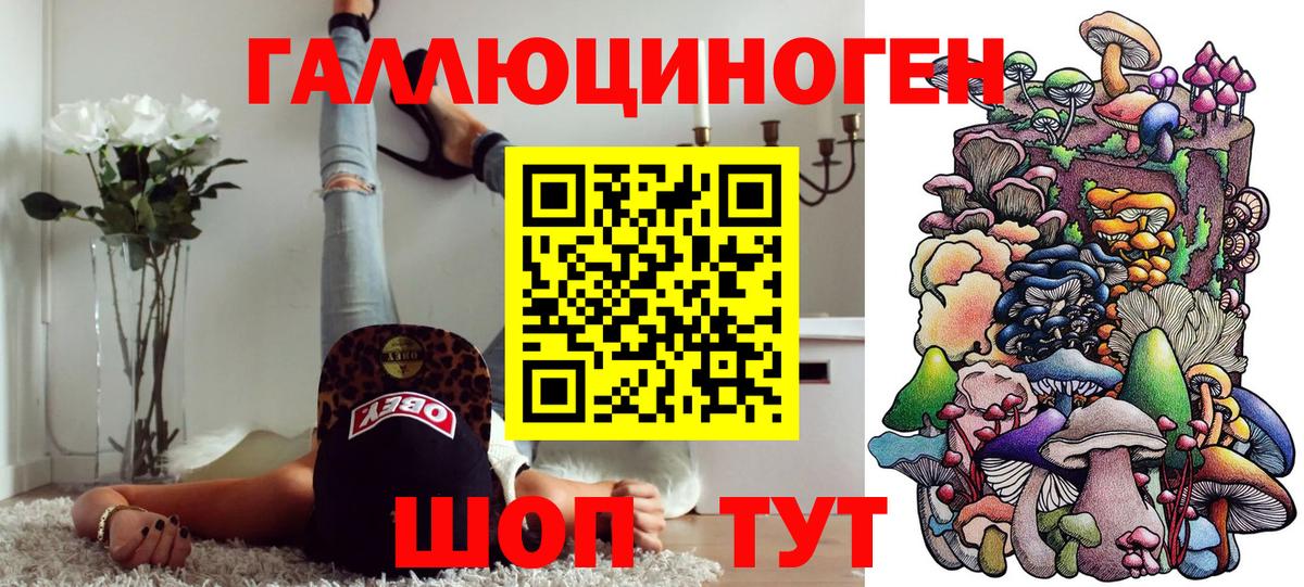 купить   Галлюциногенные грибы Psilocybine cubensis  Псилоцибиновые грибы мухоморы  Вход с VPN  Богородск 