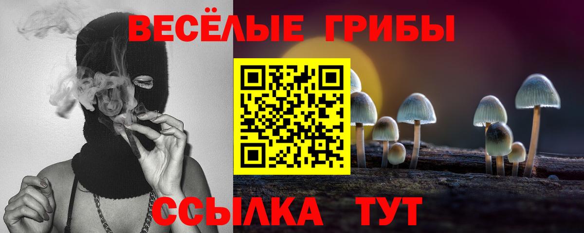 Псилоцибиновые грибы мицелий Богородск